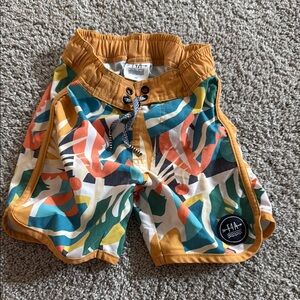 Feather 4 arrow swim shorts